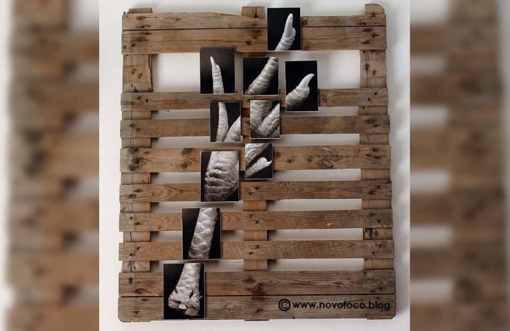 patapollo marca aigua